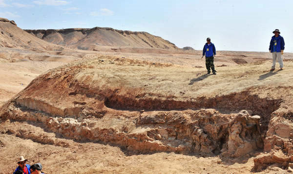 Picture 1 of China has discovered unprecedented dinosaur fossils