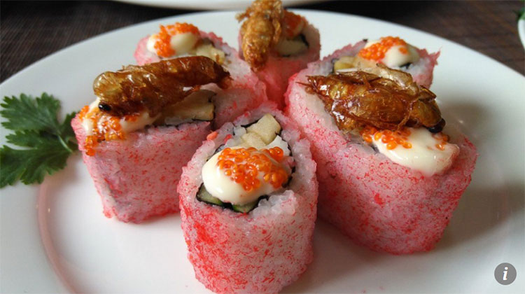 Picture 5 of China produces sushi and meat from farms of billions of cockroaches