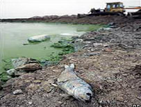 Picture 1 of China: spending 14.5 billion USD to clean Thai Ho