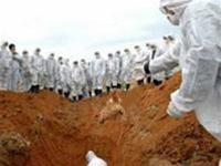 Picture 1 of China: Spending two billion yuan of bird flu