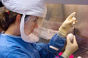 Picture 1 of China successfully developed a new vaccine against H5N1 for humans
