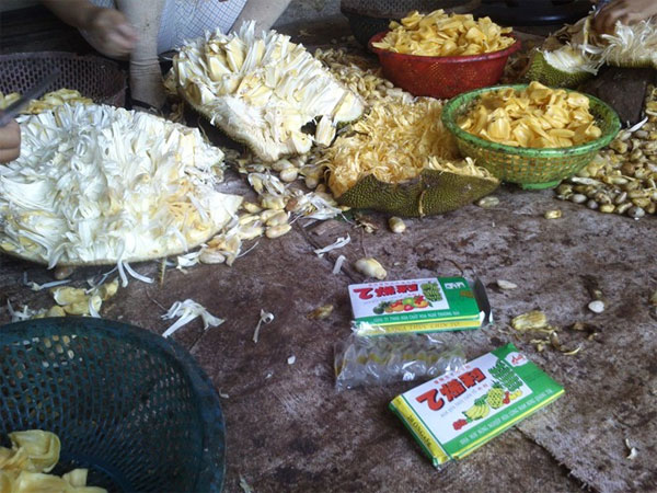 Picture 2 of Chinese chemical pump for ripening jackfruit