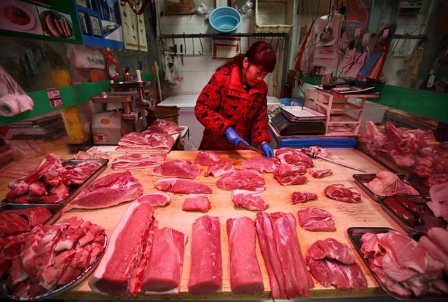 Picture 2 of Chinese cloned beef: Food or disaster for the environment?