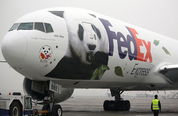 Picture 6 of Chinese pandas return to England after 20 years