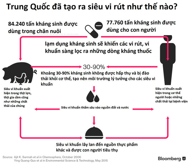Picture 2 of Chinese pork is the reason why many people die from antibiotics