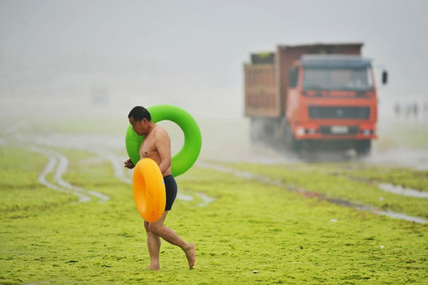 Picture 1 of Chinese sea surface is attacked by blue algae
