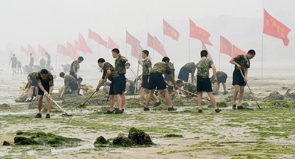 Picture 6 of Chinese sea surface is attacked by blue algae