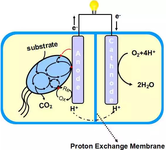 Picture 2 of Chinese students make equipment that produces 80 hours of electricity from just a spoonful of sugar