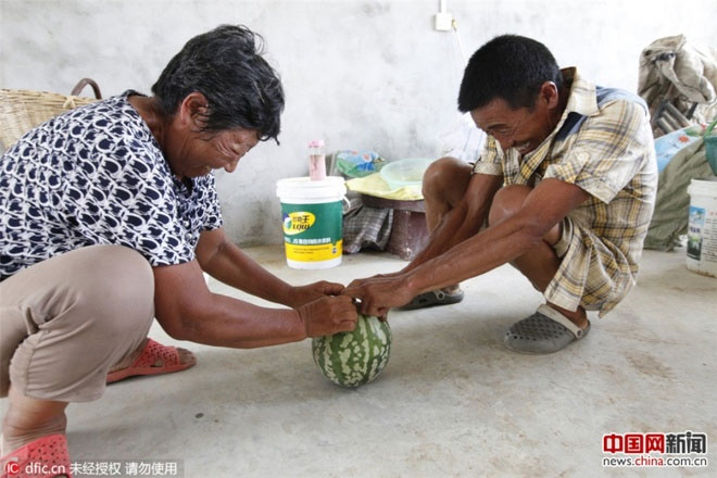 Picture 2 of Chinese watermelon bounces like rubber balls when thrown