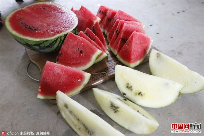 Picture 5 of Chinese watermelon bounces like rubber balls when thrown