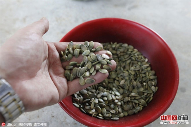 Picture 6 of Chinese watermelon bounces like rubber balls when thrown