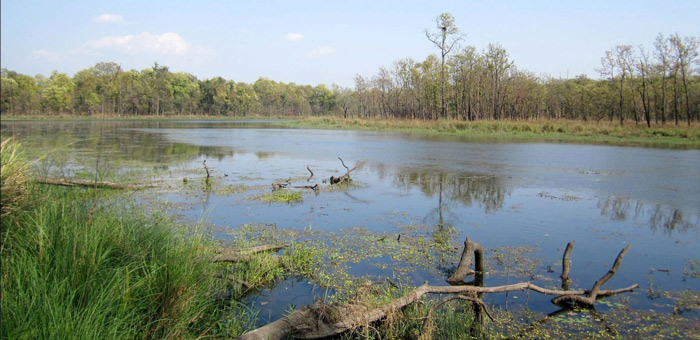 Picture 9 of Chitwan National Park - Nepal