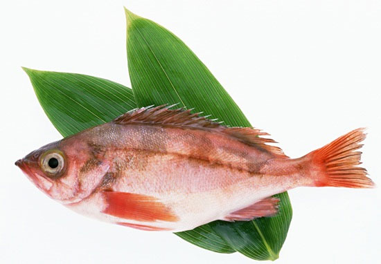 Picture 1 of Choose fresh fish How is science?