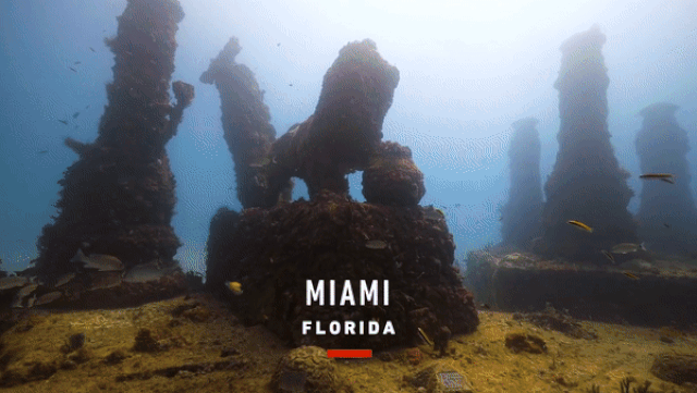 Picture 1 of City of dead people under the ocean