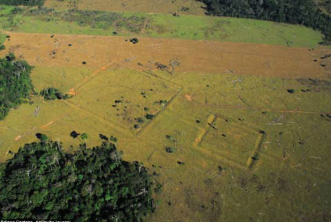 Picture 2 of Civilized excavations were