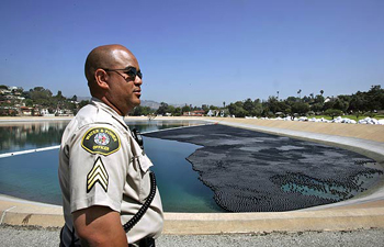 Picture 5 of Clean the pool with plastic balls
