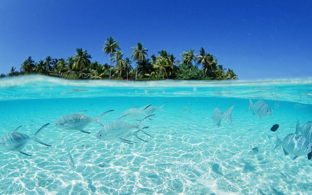 Picture 12 of Clear waters like air