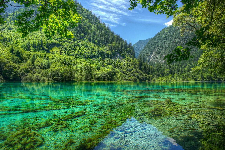 Picture 13 of Clear waters like air