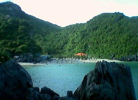 Climate change changes the face of Cat Ba biosphere area images 1