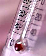 Picture 2 of Climate change - 'culprit' causes wildfires and unusual heat