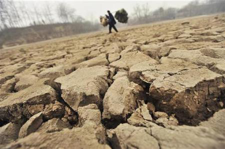 Picture 1 of Climate change due to nuclear war