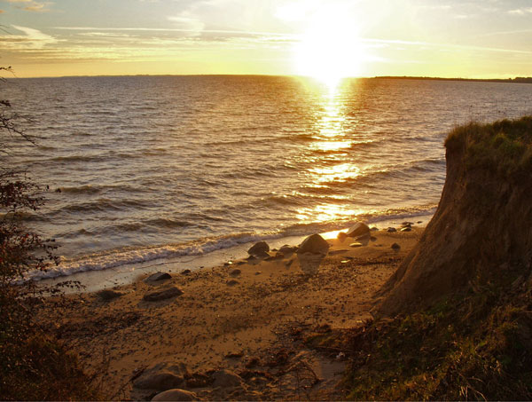 Picture 1 of Climate change facilitates bacterial spread in Northern Europe