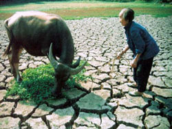 Picture 4 of Climate change: Great challenge, great effort with Vietnam