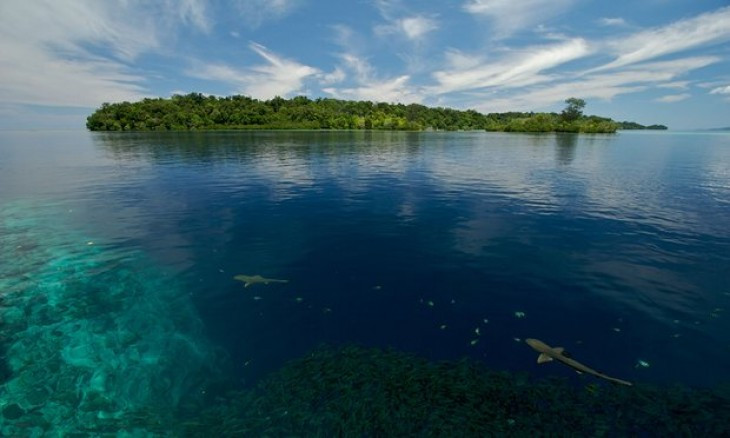 Climate change has engulfed 5 islands in the Pacific Ocean images 2