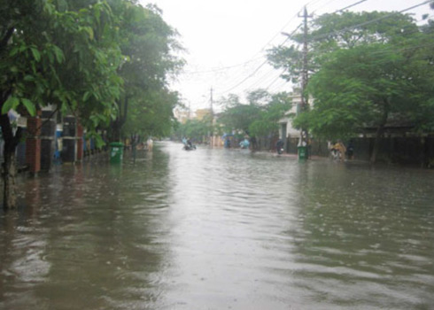 Picture 2 of Climate change has impacted throughout Vietnam