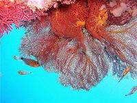 Picture 1 of Climate change threatens cultural heritage