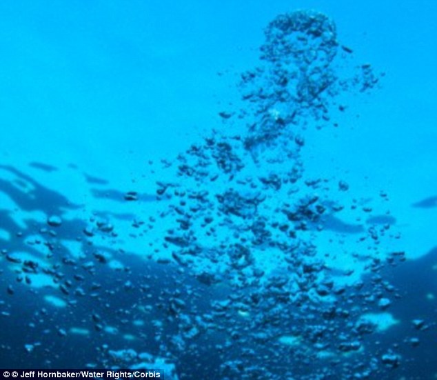 Picture 1 of Climate change will cause marine fish to die massively