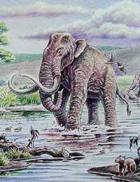 Picture 1 of Climate, not someone who killed mammoths
