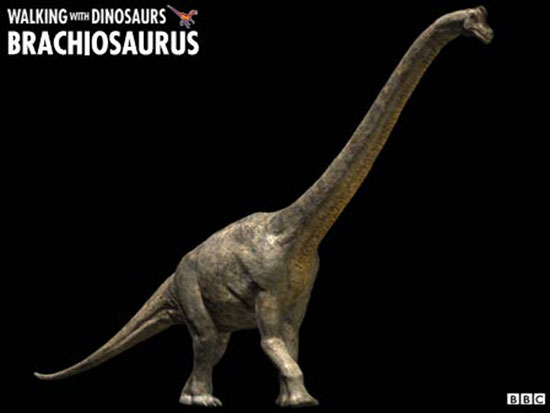 Picture 7 of Clip: Walking with dinosaurs