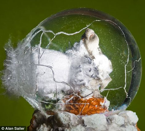 Picture 11 of Close up of moments when objects explode