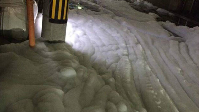 Picture 7 of Close up of mysterious white foam covering the road to Japan after the earthquake