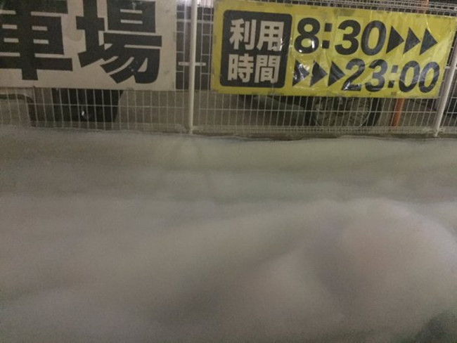 Picture 8 of Close up of mysterious white foam covering the road to Japan after the earthquake