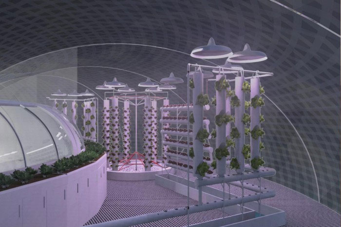 Picture 3 of Close up of NASA's Mars house