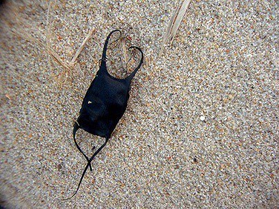 Picture 4 of Close up of shark eggs: look like tadpoles that have 'peach hearts' like strange eggs