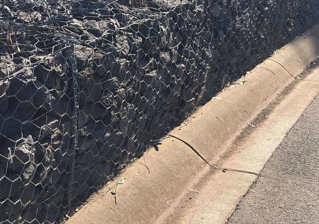 Picture 1 of Close up of snakes specializing in biting people when they sleep, causing a terrible nightmare in Australia