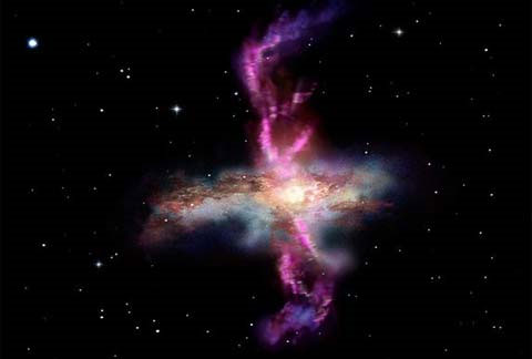 Picture 4 of Close up of the 'breeding' star