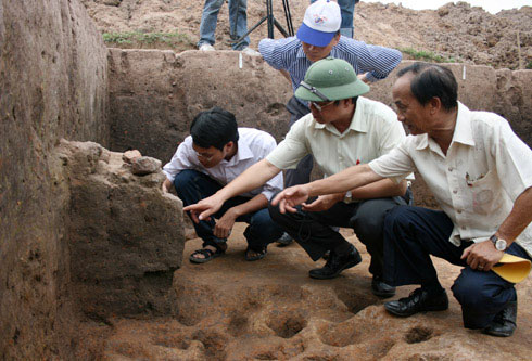 Picture 1 of Close up of the exposed area '3,000-year grain grain' germinated