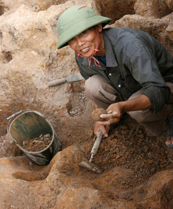 Picture 11 of Close up of the exposed area '3,000-year grain grain' germinated