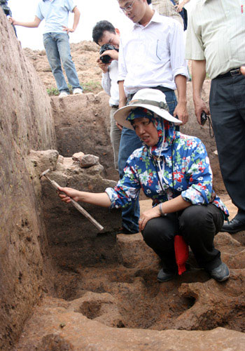 Picture 2 of Close up of the exposed area '3,000-year grain grain' germinated