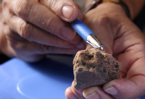 Picture 5 of Close up of the exposed area '3,000-year grain grain' germinated