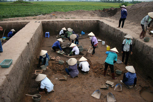Picture 6 of Close up of the exposed area '3,000-year grain grain' germinated