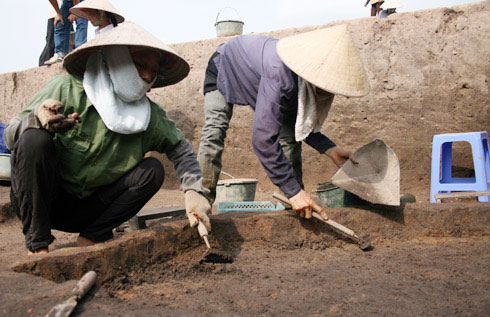 Picture 7 of Close up of the exposed area '3,000-year grain grain' germinated