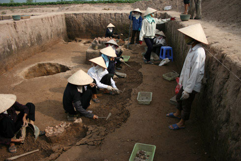 Picture 8 of Close up of the exposed area '3,000-year grain grain' germinated