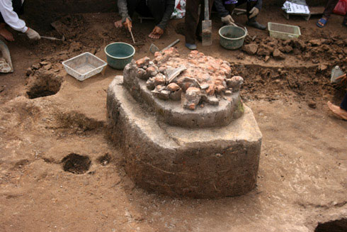 Picture 9 of Close up of the exposed area '3,000-year grain grain' germinated