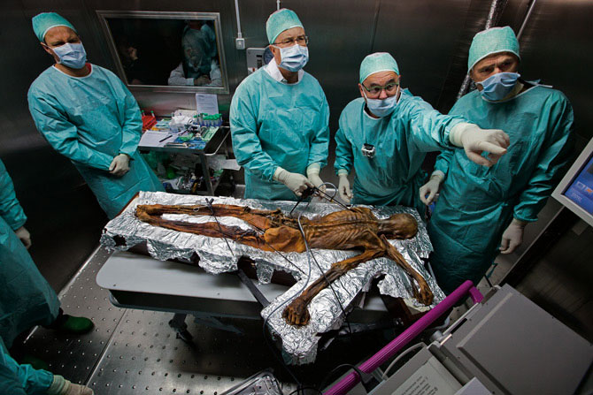 Picture 1 of Close up of the mummy otzi mummy