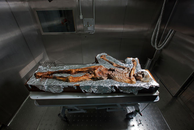 Picture 10 of Close up of the mummy otzi mummy